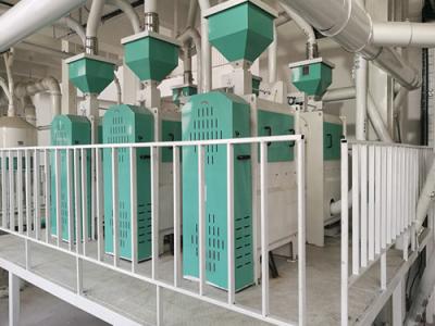 遼寧黑山50噸豆類脫皮制粉成套項(xiàng)目